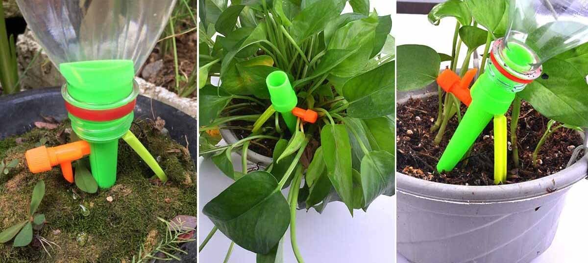 ¿qué Hago Con Mis Plantas En Vacaciones 3 Trucos Caseros Infalibles