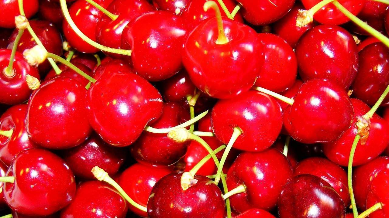 Frutos rojos